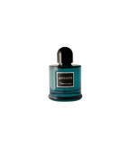 عطر و ادکلن مردانه روبرتو ویزاری آنتی دوت پور هوم ادوپرفیوم
